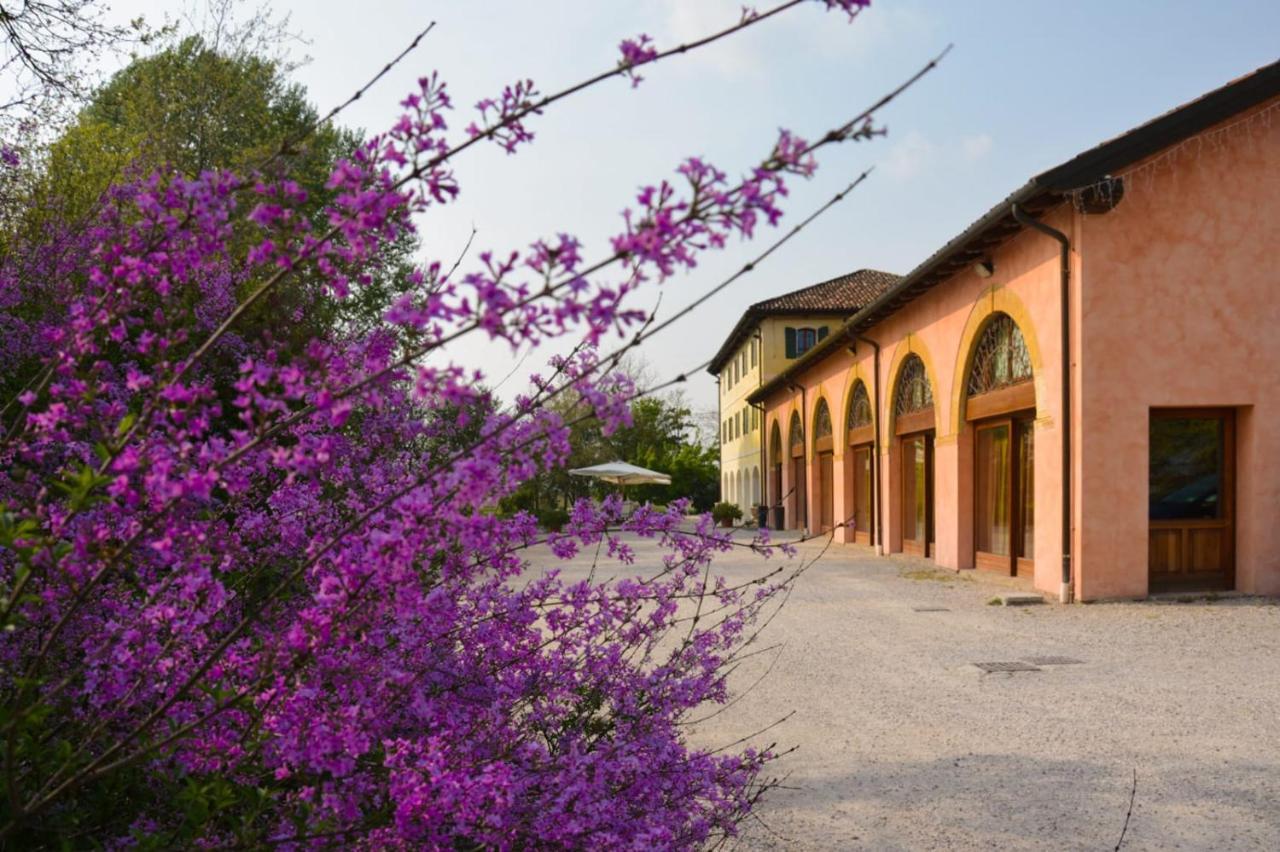 Agriturismo Rechsteiner Ponte di Piave Dış mekan fotoğraf