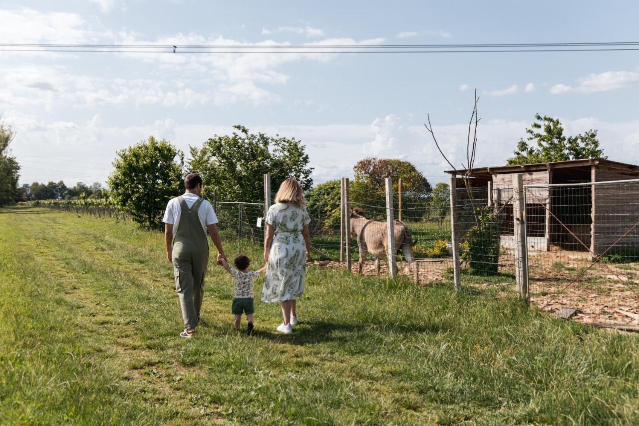 Agriturismo Rechsteiner Ponte di Piave Dış mekan fotoğraf